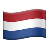 flag icon